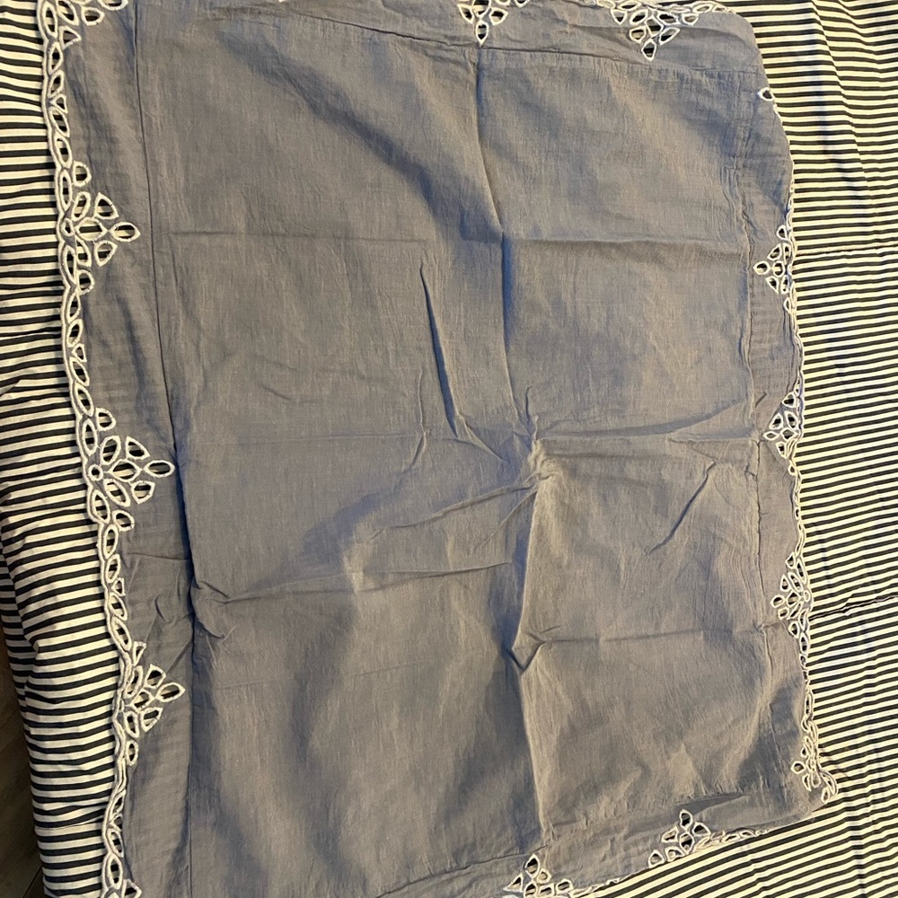Pottery Barn Kids Standard Shams (2)